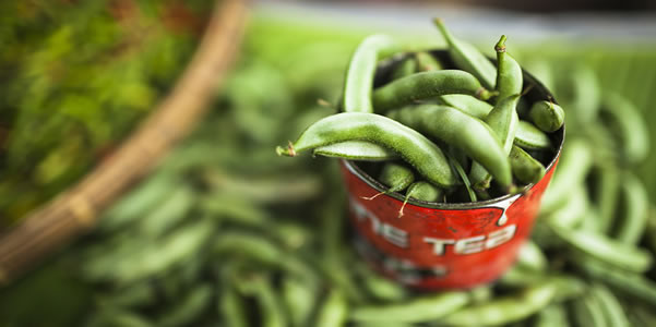 Can of green beans